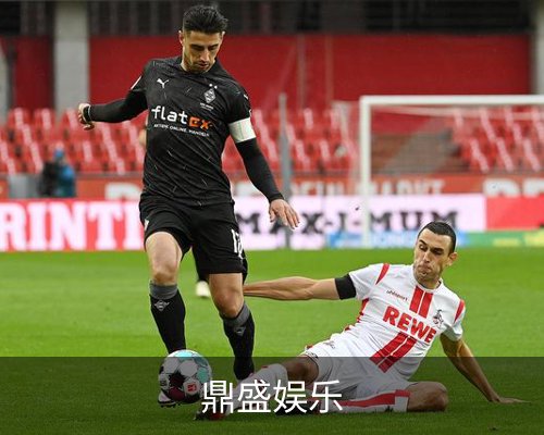 鼎盛娱乐体育的故事 